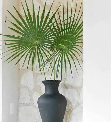 Casa Kuk, Stylish, At 5 Min, Pool, Concierge * Tulum